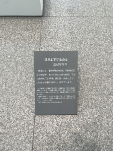 IMG_2915.jpeg